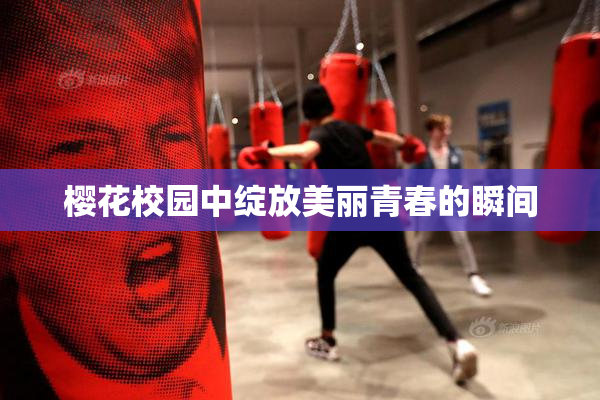 樱花校园中绽放美丽青春的瞬间