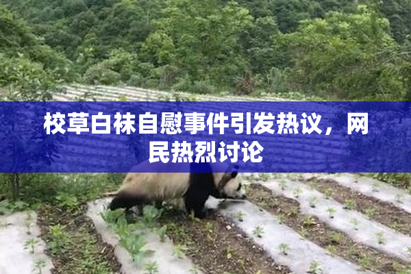校草白袜自慰事件引发热议，网民热烈讨论