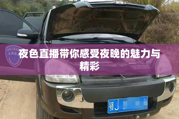 夜色直播带你感受夜晚的魅力与精彩