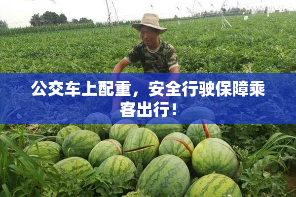 公交车上配重，安全行驶保障乘客出行！