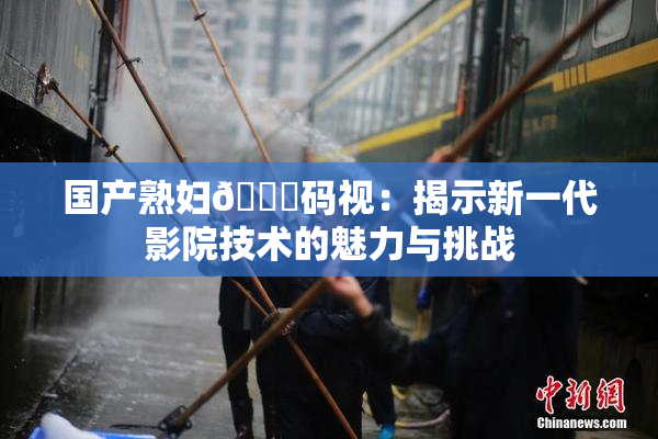 国产熟妇🈚码视：揭示新一代影院技术的魅力与挑战