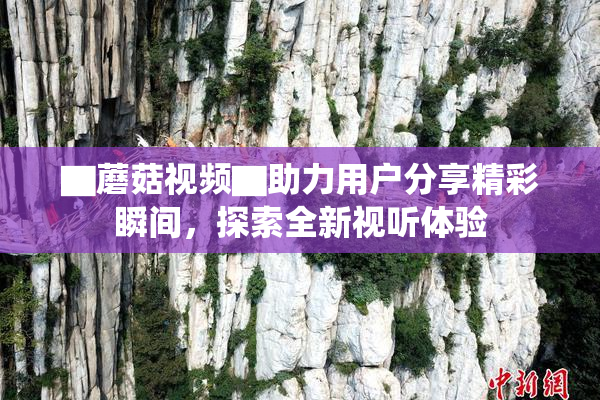 ▇蘑菇视频▇助力用户分享精彩瞬间，探索全新视听体验