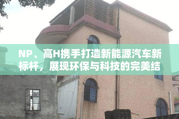 NP、高H携手打造新能源汽车新标杆，展现环保与科技的完美结合。