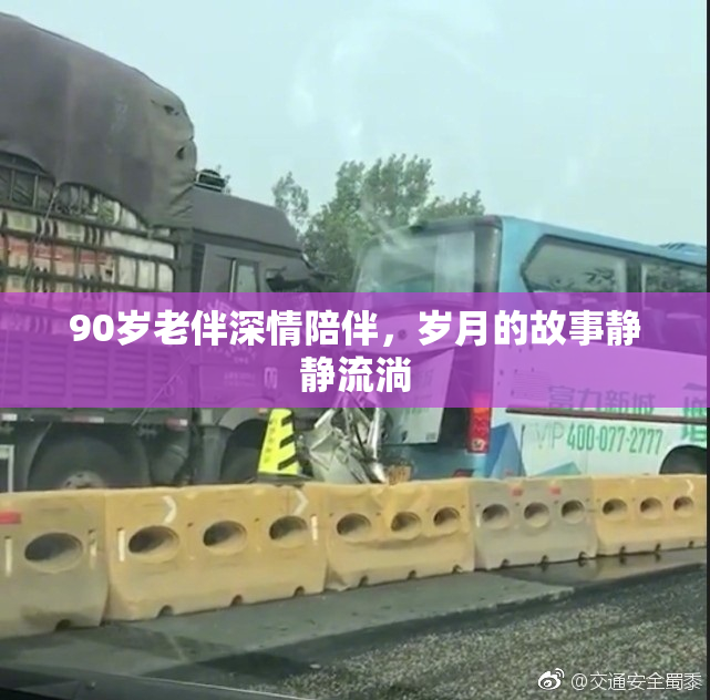 90岁老伴深情陪伴，岁月的故事静静流淌