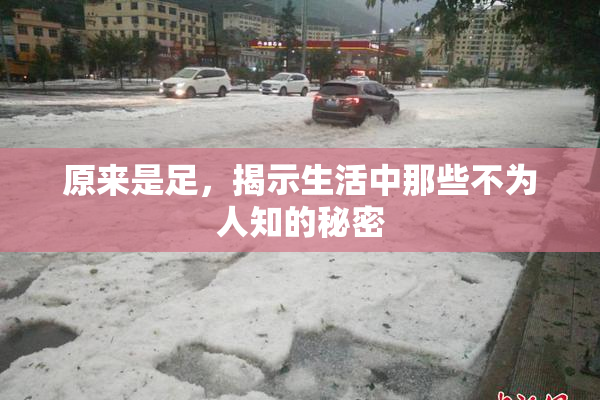 原来是足，揭示生活中那些不为人知的秘密