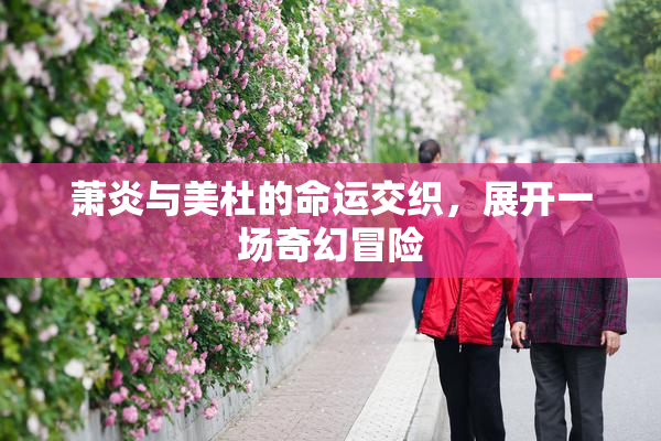 萧炎与美杜的命运交织，展开一场奇幻冒险