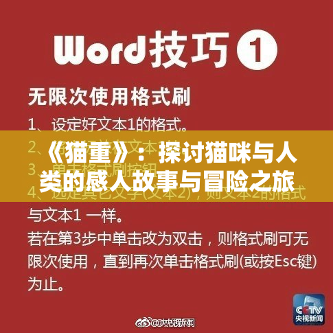 《猫重》：探讨猫咪与人类的感人故事与冒险之旅