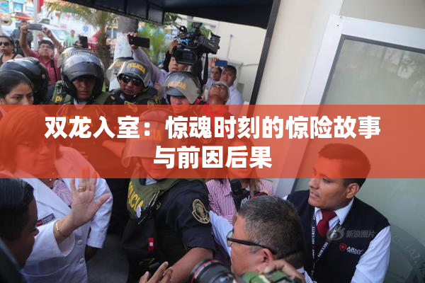 双龙入室：惊魂时刻的惊险故事与前因后果