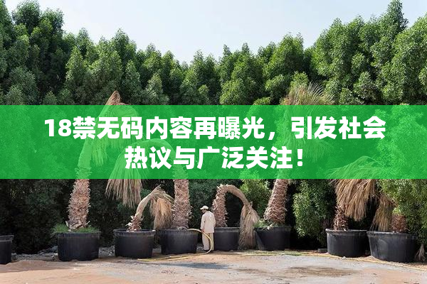 18禁无码内容再曝光，引发社会热议与广泛关注！