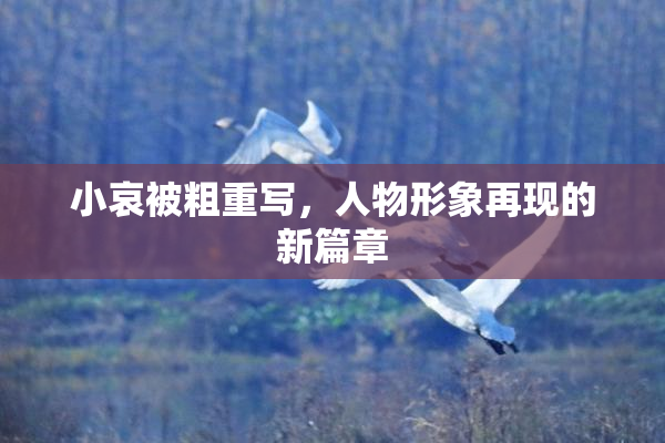 小哀被粗重写，人物形象再现的新篇章