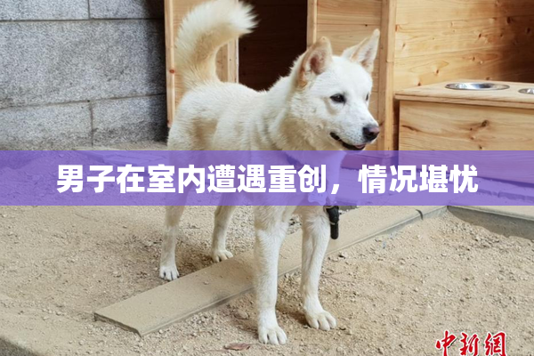 男子在室内遭遇重创，情况堪忧