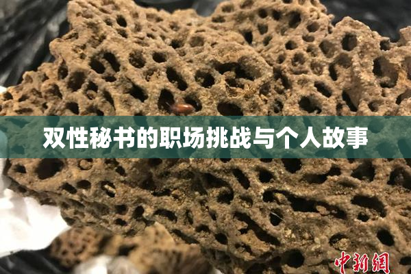 双性秘书的职场挑战与个人故事