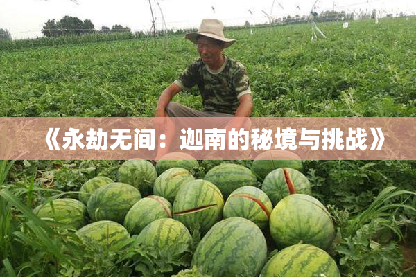 《永劫无间：迦南的秘境与挑战》