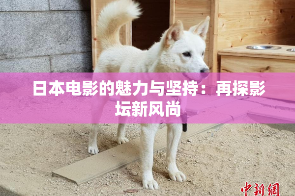 日本电影的魅力与坚持：再探影坛新风尚
