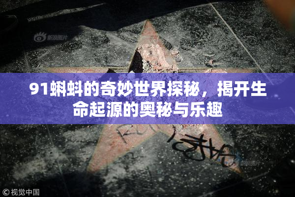 91蝌蚪的奇妙世界探秘，揭开生命起源的奥秘与乐趣