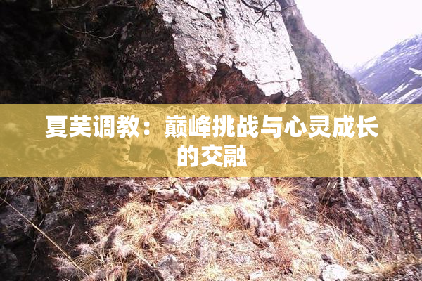 夏芙调教：巅峰挑战与心灵成长的交融