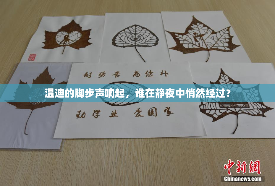 温迪的脚步声响起，谁在静夜中悄然经过？