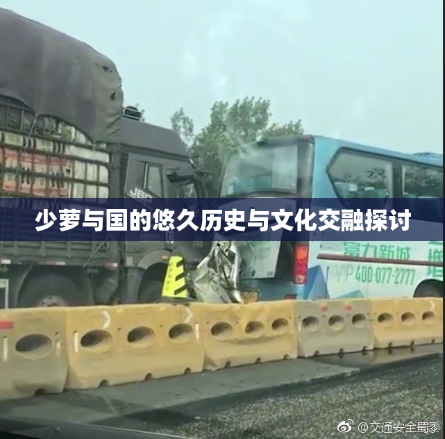少萝与国的悠久历史与文化交融探讨