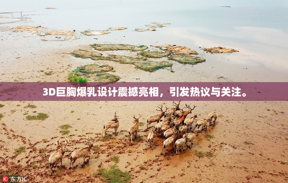 3D巨胸爆乳设计震撼亮相，引发热议与关注。