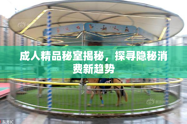 成人精品秘室揭秘，探寻隐秘消费新趋势