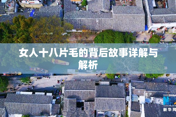 女人十八片毛的背后故事详解与解析