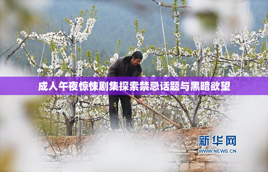 成人午夜惊悚剧集探索禁忌话题与黑暗欲望
