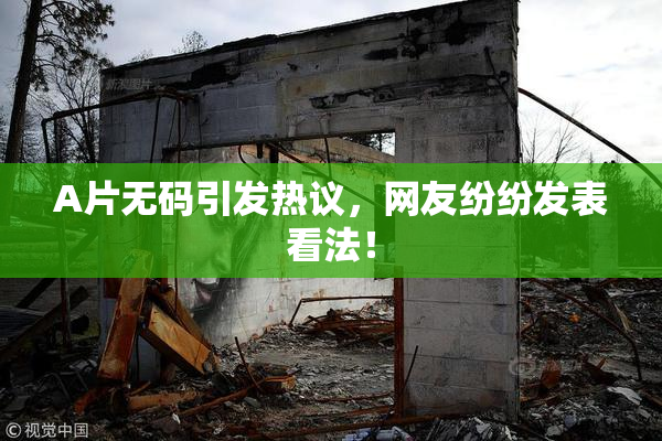 A片无码引发热议，网友纷纷发表看法！
