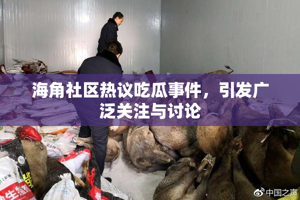 海角社区热议吃瓜事件，引发广泛关注与讨论