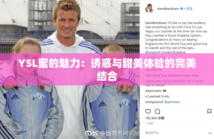 YSL蜜的魅力：诱惑与甜美体验的完美结合