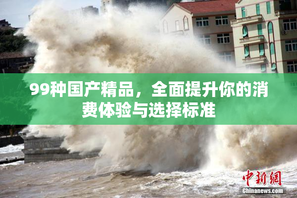 99种国产精品，全面提升你的消费体验与选择标准