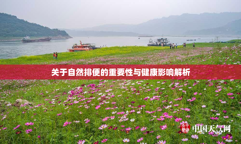 关于自然排便的重要性与健康影响解析