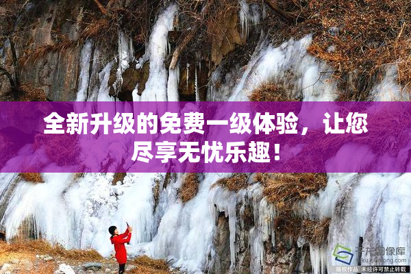 全新升级的免费一级体验，让您尽享无忧乐趣！