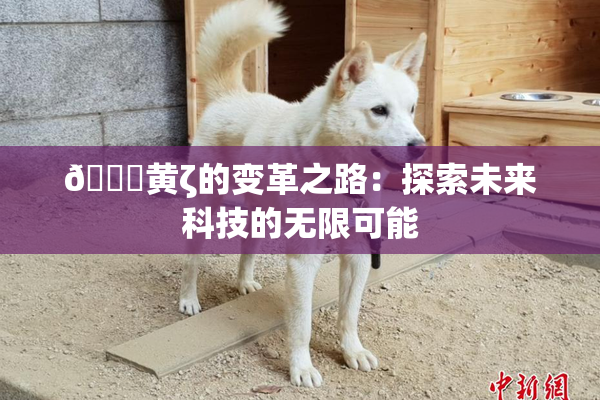 🔞黄ζ的变革之路：探索未来科技的无限可能