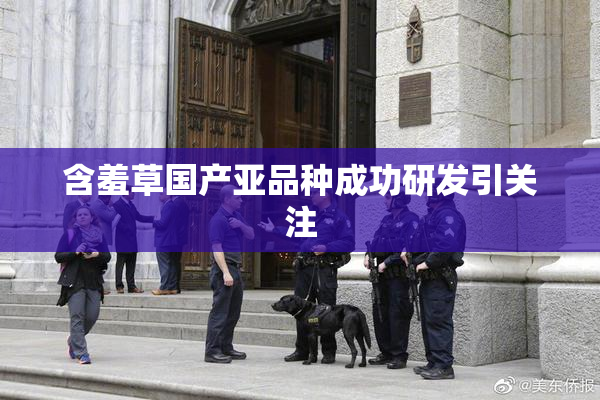 含羞草国产亚品种成功研发引关注