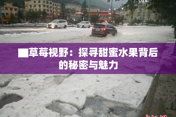 ▇草莓视野：探寻甜蜜水果背后的秘密与魅力
