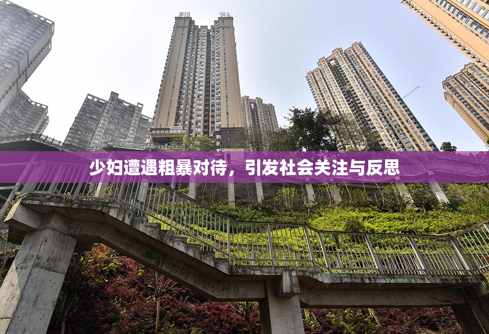 少妇遭遇粗暴对待，引发社会关注与反思