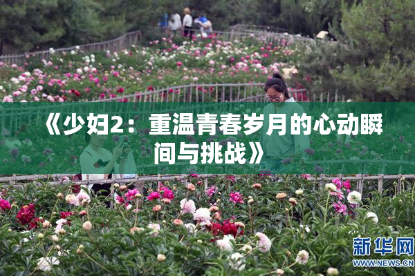 《少妇2：重温青春岁月的心动瞬间与挑战》