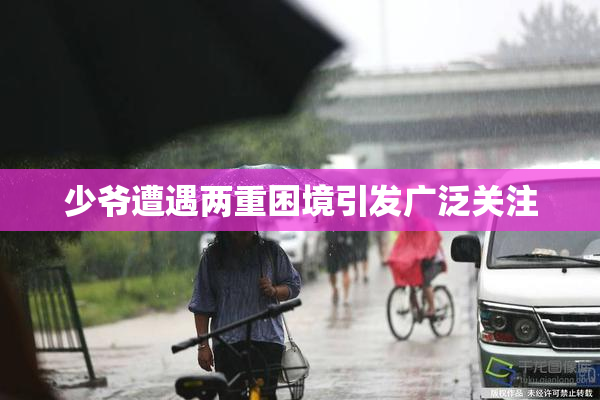 少爷遭遇两重困境引发广泛关注