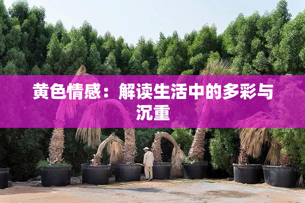 黄色情感：解读生活中的多彩与沉重