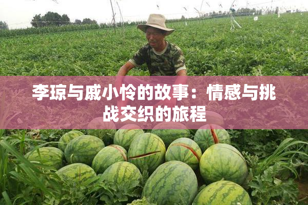 李琼与戚小怜的故事：情感与挑战交织的旅程