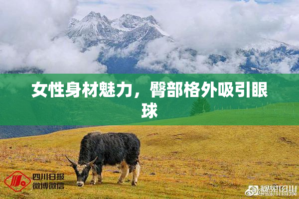 女性身材魅力，臀部格外吸引眼球