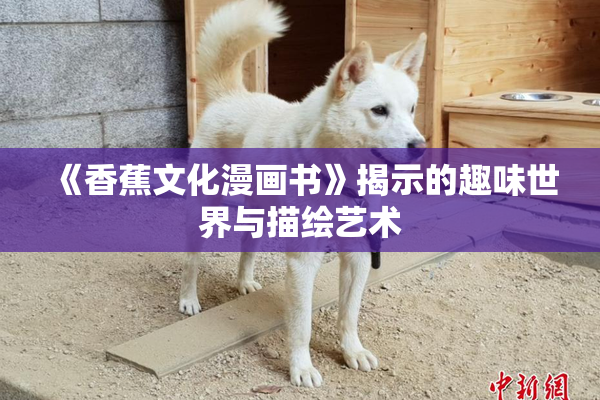 《香蕉文化漫画书》揭示的趣味世界与描绘艺术