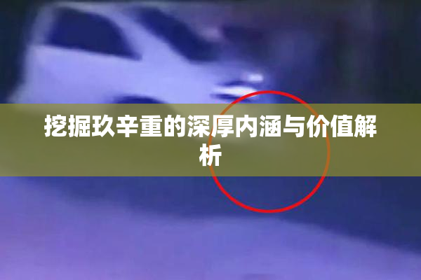 挖掘玖辛重的深厚内涵与价值解析