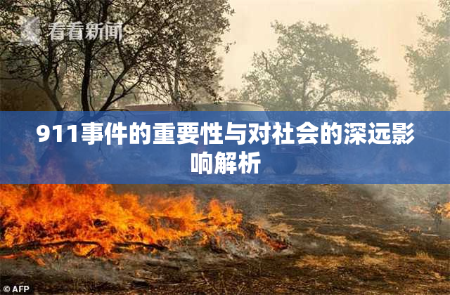911事件的重要性与对社会的深远影响解析