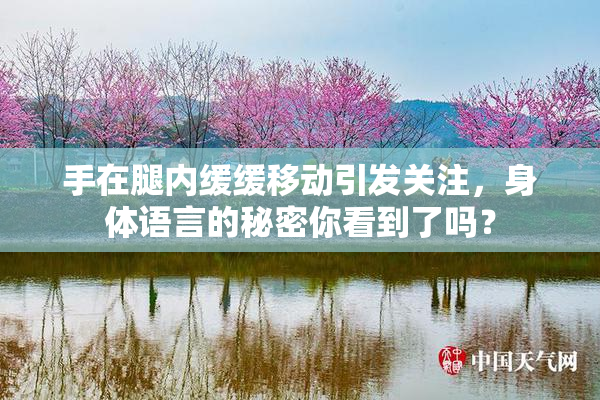手在腿内缓缓移动引发关注，身体语言的秘密你看到了吗？