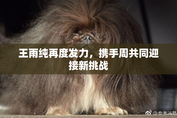王雨纯再度发力，携手周共同迎接新挑战