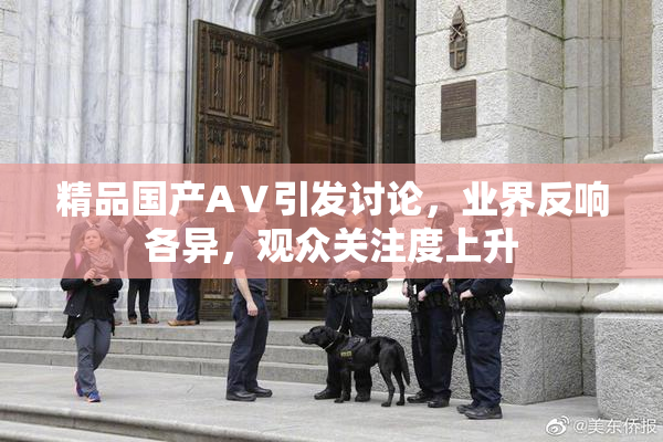 精品国产AⅤ引发讨论，业界反响各异，观众关注度上升