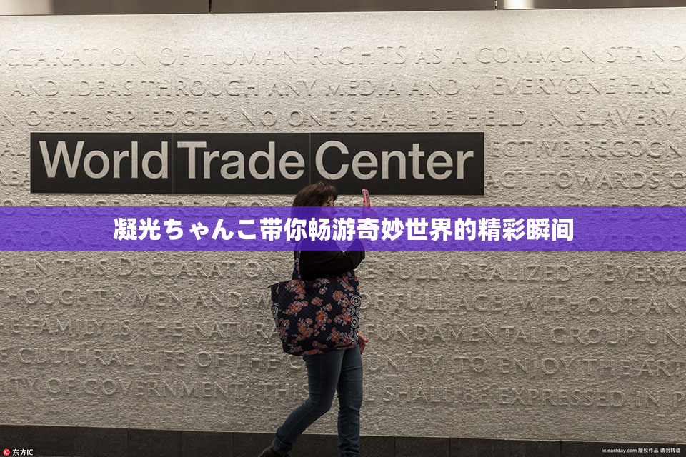 凝光ちゃんこ带你畅游奇妙世界的精彩瞬间