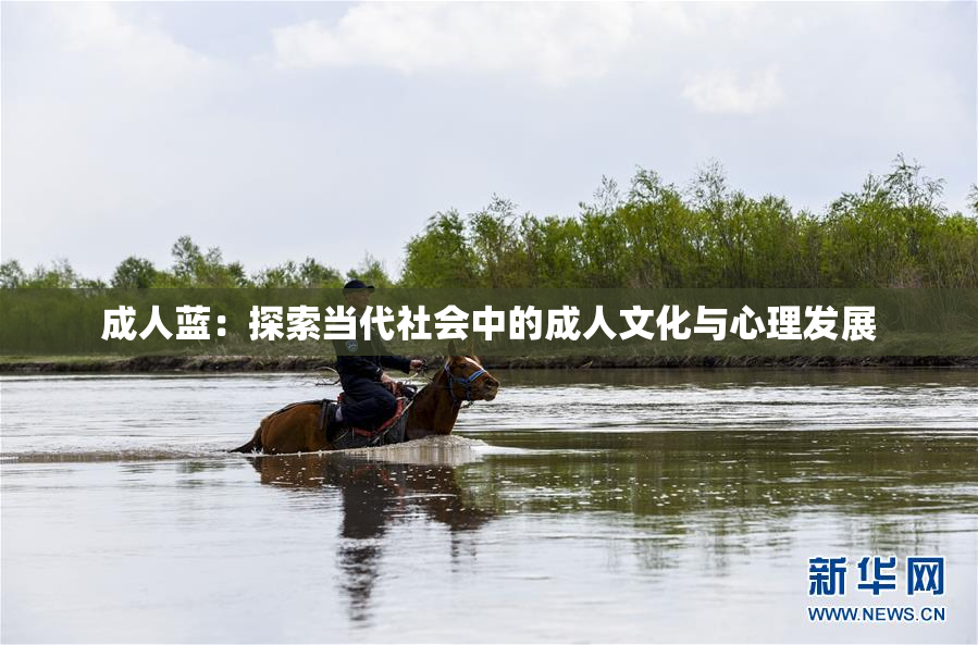 成人蓝：探索当代社会中的成人文化与心理发展