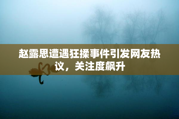 赵露思遭遇狂揉事件引发网友热议，关注度飙升